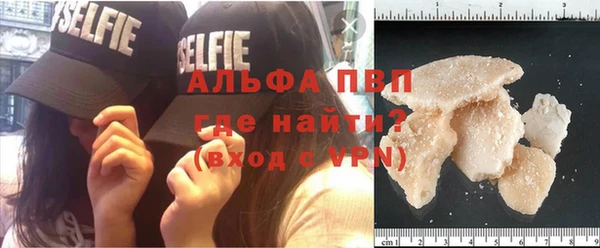 твердый Снежногорск
