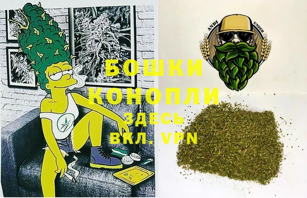 СК Белокуриха