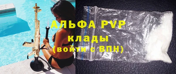 СК Белокуриха